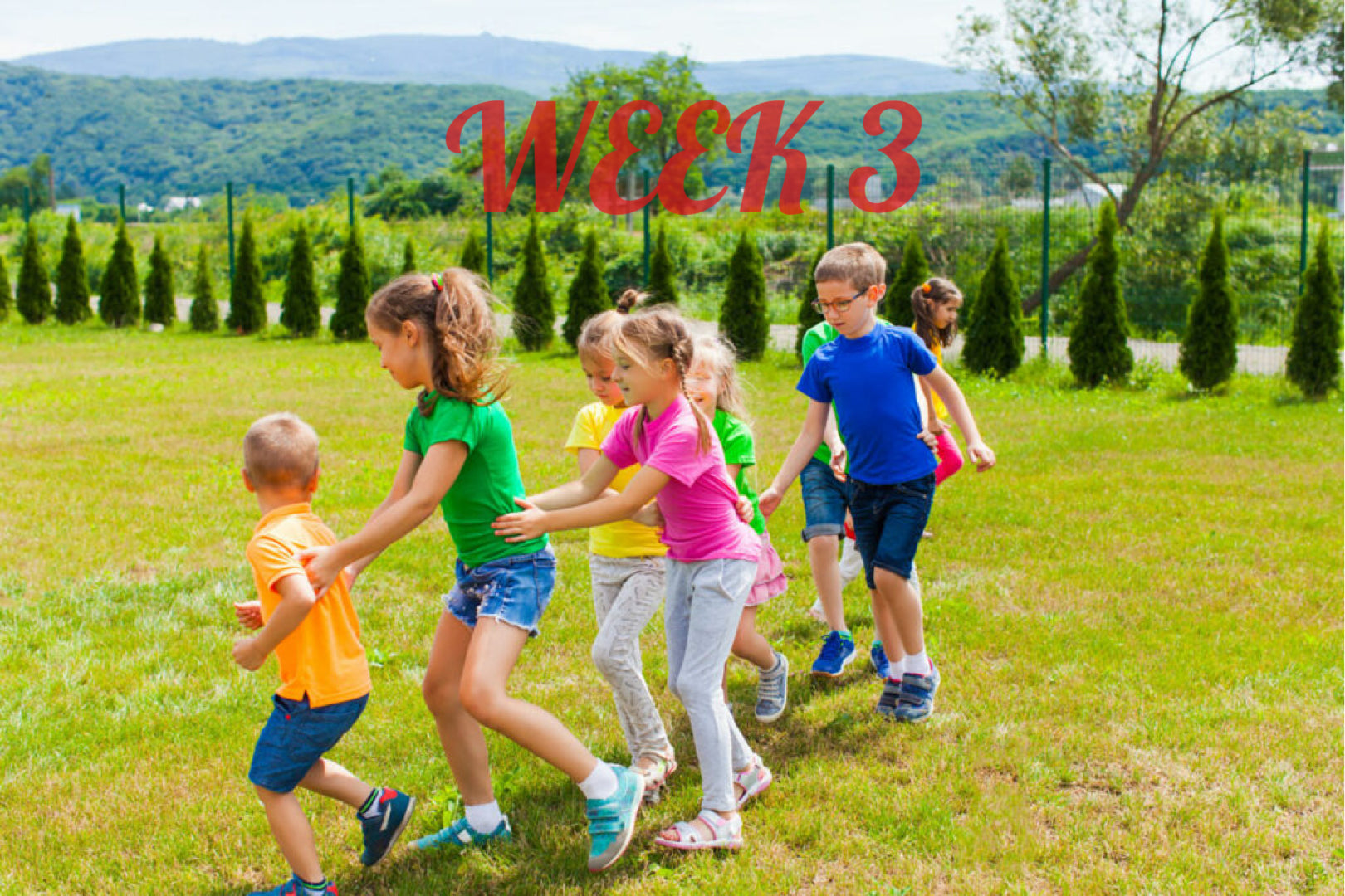 1 Camper : Week 3